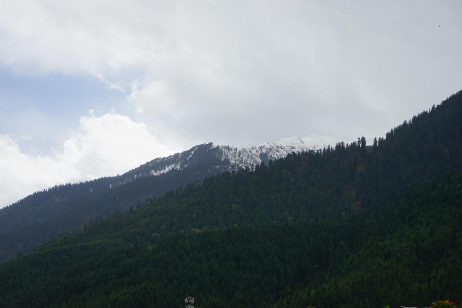 Hotel Magnolia Mallroad Manali Εξωτερικό φωτογραφία